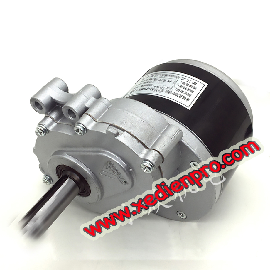 dong_co_xe_lan_dien_sm02_sm03_copy