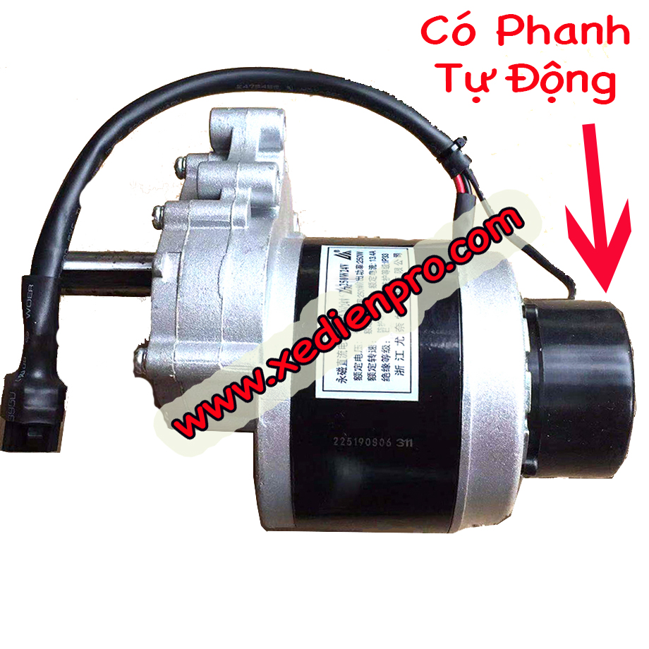 dong_co_xe_lan_dien_24vol250w1_copy