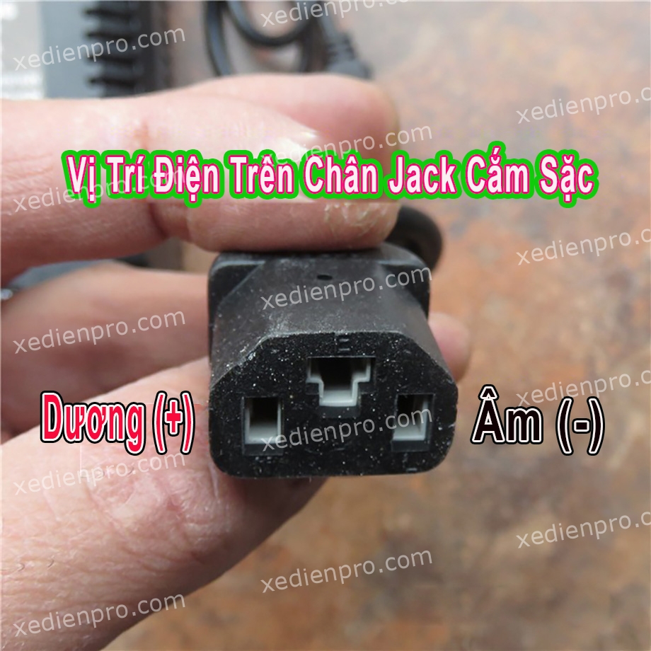 sac_xe_lan_dien_gia_re_4_copy