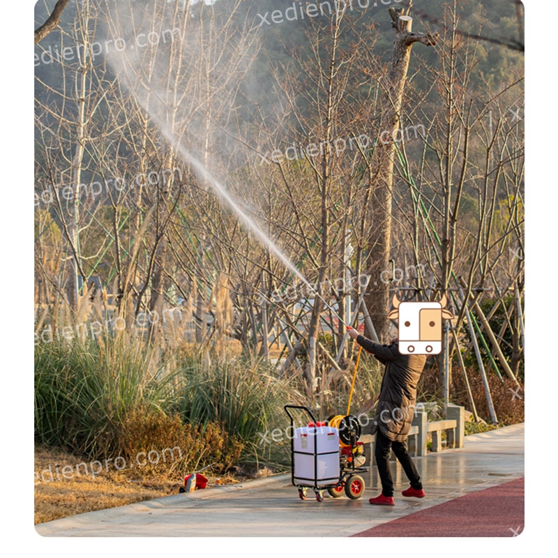 my_phun_thuc_su_cng_sut_7000kw_12