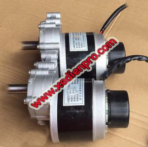 Động Cơ Nâng Cấp Phanh Tự Động Cho Xe Lăn Điện Giá Rẻ